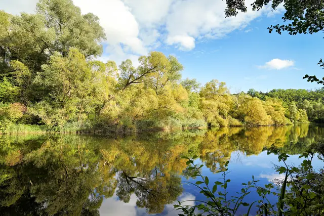 erste Herbstverfärbung am hinteren See | Foto: Ulrich Seidel