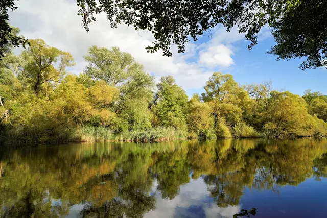 Die Herbstverfärbung ziegt sich bereits | Foto: Ulrich Seidel