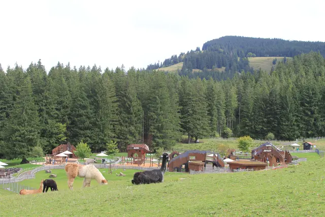 Alpsee/ Bergwelt/Allgäu | Foto: Ralf Röser