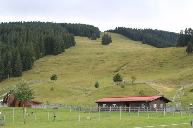 Alpsee/ Bergwelt/Allgäu | Foto: Ralf Röser