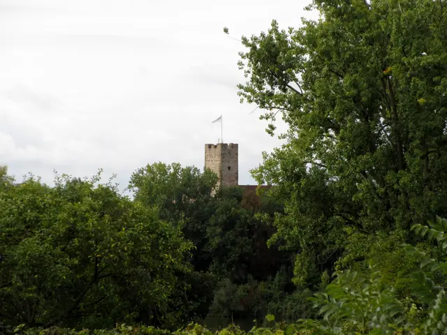 Ungewöhnliche Perspektive auf die Lauffener Burg | Foto: WandernGabyErich