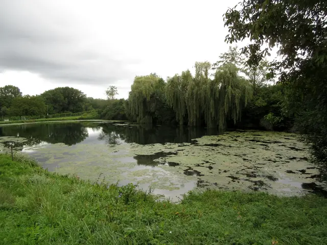 See im Rieder | Foto: WandernGabyErich