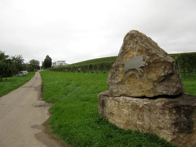 Weingut | Foto: WandernGabyErich