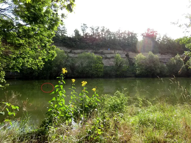 Eisvogel unterwegs | Foto: WandernGabyErich