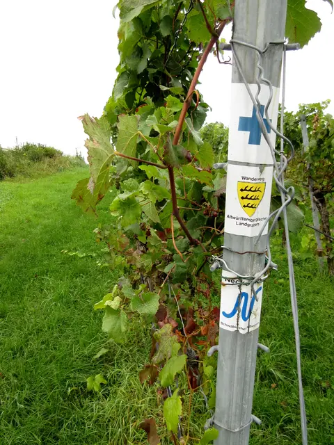Wanderweg Altwürttembergischer Landgraben und Neckarweg | Foto: WandernGabyErich