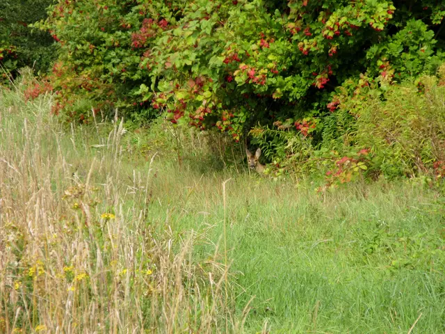 Ein schönes Plätzchen hat es sich da ausgesucht | Foto: WandernGabyErich
