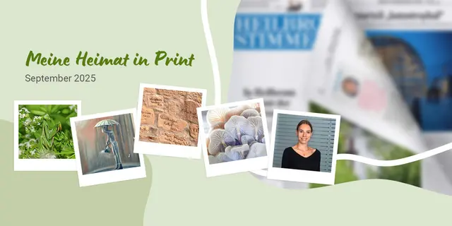 Vivien Müller stellt sich als neue Produktmanagerin vor, Interessantes zu Gottesanbeterin und Steinernem Album auf der Weibertreu und mehr: All das bietet die Meine Heimat-Seite, die am 20. September im Magazin der Zeitung erscheint.  | Foto: HSt-Grafik, Tanja Blind, Daniela Somers, Heide Böllinger, Uschi Pohl, HSt