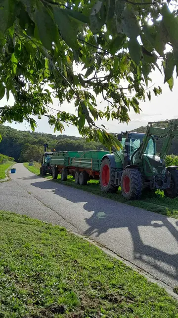 die Weinlese hat begonnen | Foto: privat