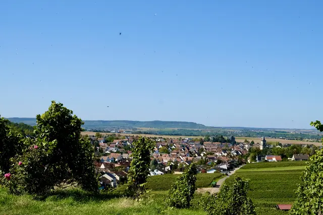 Blick zur Fleiner Kirche St. Veit | Foto: ED
