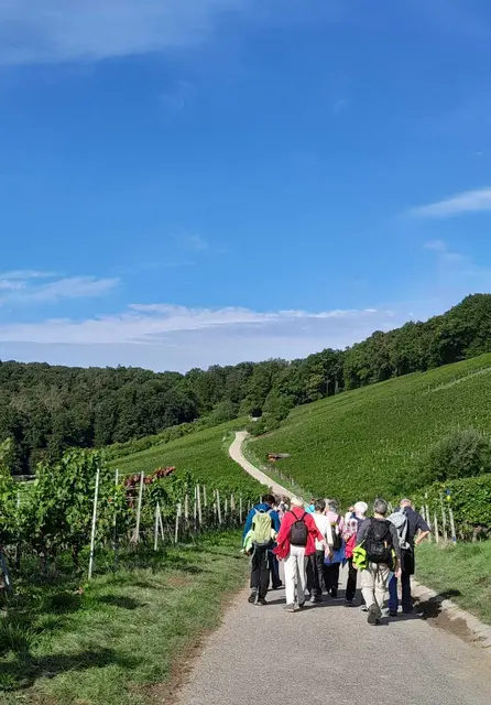herrliches Wanderwetter | Foto: privat
