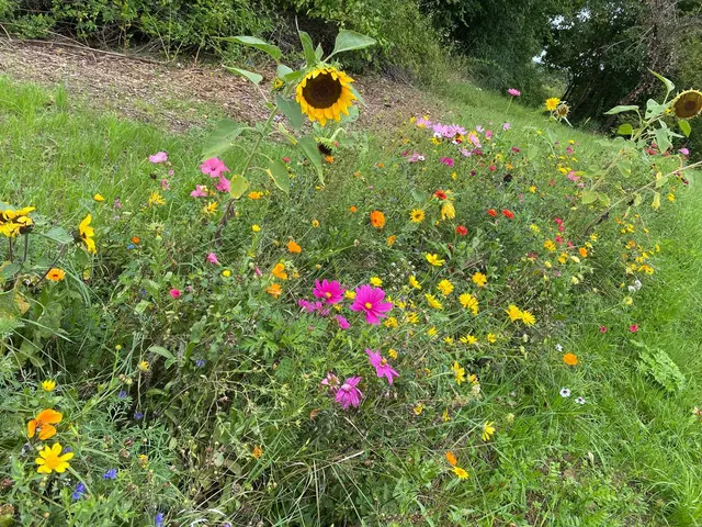 die Natur gibt noch mal alles | Foto: privat