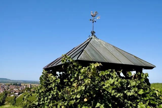 Aussichtspunkt Eselsberg | Foto: ED