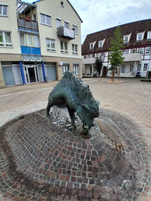 Eber in Eberstadt | Foto: privat