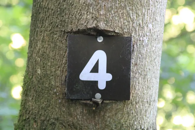 Rundwanderung- Grimmbachtal | Foto: Ralf Röser