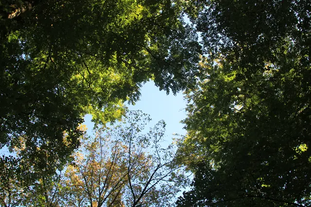 Rundwanderung- Grimmbachtal | Foto: Ralf Röser