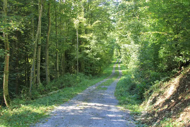 Rundwanderung- Grimmbachtal | Foto: Ralf Röser