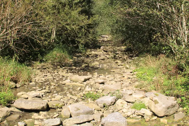 Rundwanderung- Grimmbachtal | Foto: Ralf Röser