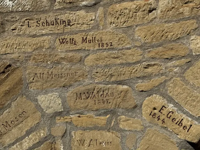 Foto: Heide Böllinger aus Bad Friedrichshall