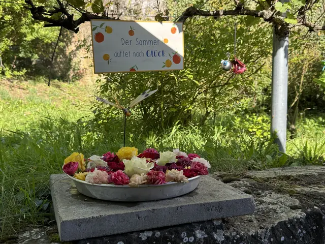 Foto: Heide Böllinger aus Bad Friedrichshall