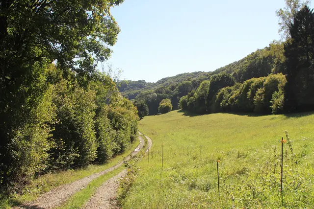 Rundwanderung- Grimmbachtal | Foto: Ralf Röser