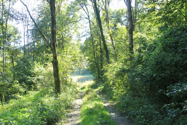 Rundwanderung- Grimmbachtal | Foto: Ralf Röser