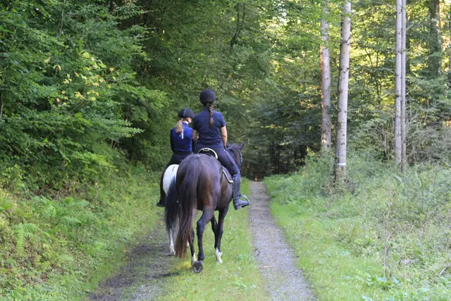 Rundwanderung- Grimmbachtal | Foto: Ralf Röser