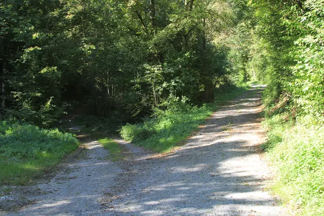 Rundwanderung- Grimmbachtal | Foto: Ralf Röser