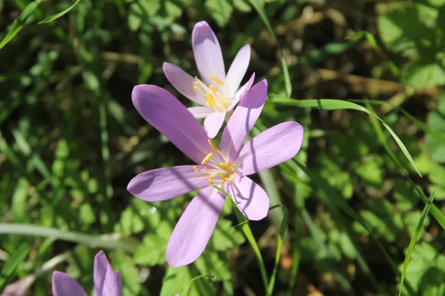 Rundwanderung- Grimmbachtal | Foto: Ralf Röser