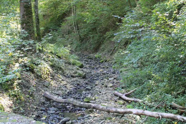 Rundwanderung- Grimmbachtal | Foto: Ralf Röser