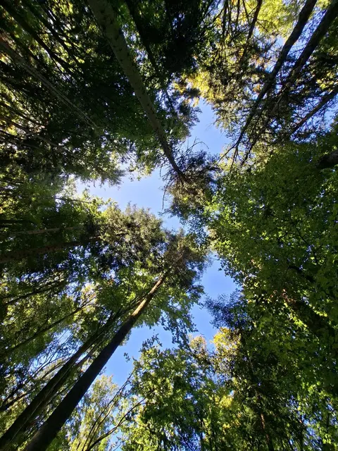 Rundwanderung- Grimmbachtal | Foto: Ralf Röser