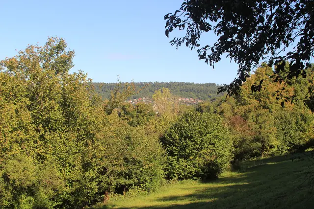 Rundwanderung- Grimmbachtal | Foto: Ralf Röser