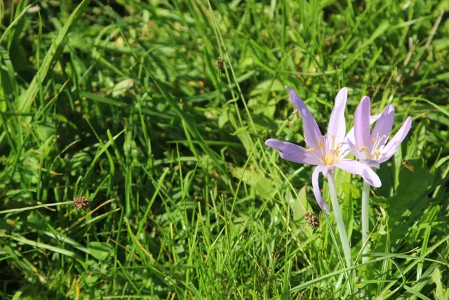 Rundwanderung- Grimmbachtal | Foto: Ralf Röser
