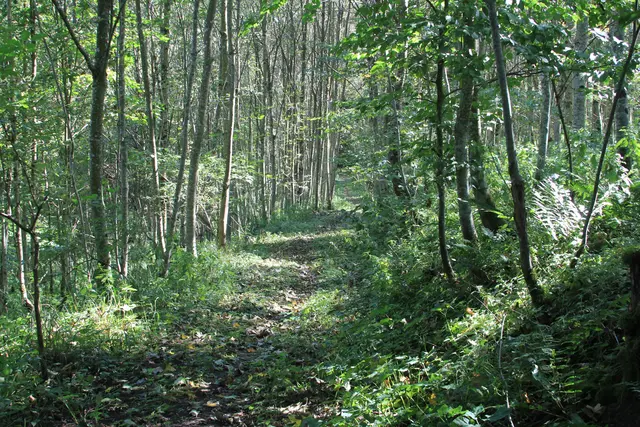 Rundwanderung- Grimmbachtal | Foto: Ralf Röser