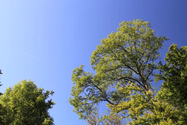 Rundwanderung- Grimmbachtal | Foto: Ralf Röser