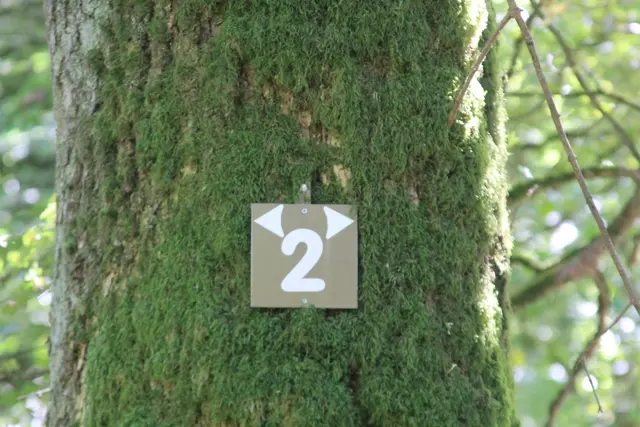 Rundwanderung- Grimmbachtal | Foto: Ralf Röser