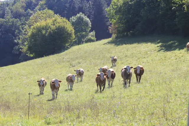 Rundwanderung- Grimmbachtal | Foto: Ralf Röser
