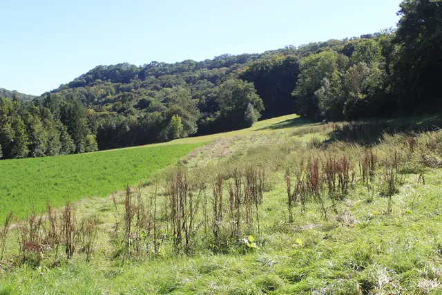 Rundwanderung- Grimmbachtal | Foto: Ralf Röser