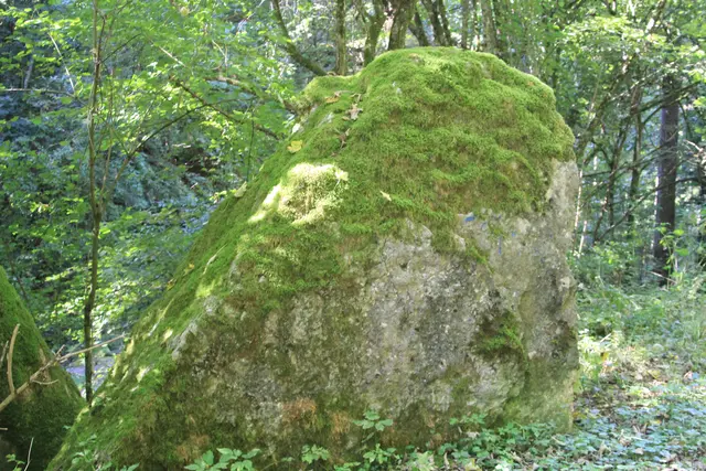 Rundwanderung- Grimmbachtal | Foto: Ralf Röser