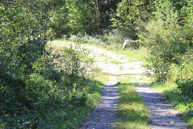 Rundwanderung- Grimmbachtal | Foto: Ralf Röser