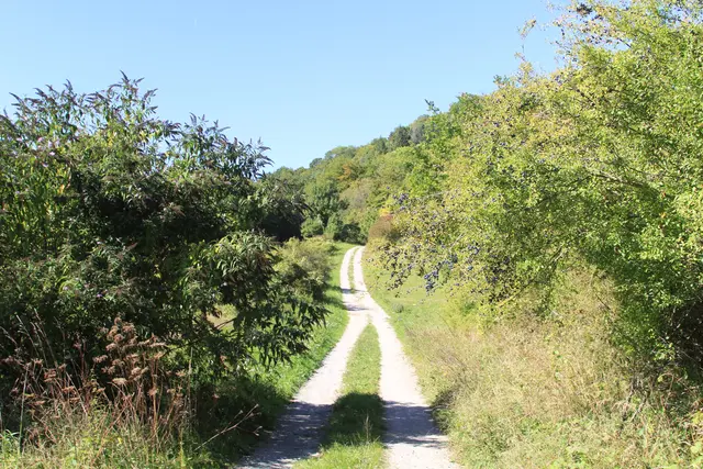 Rundwanderung- Grimmbachtal | Foto: Ralf Röser