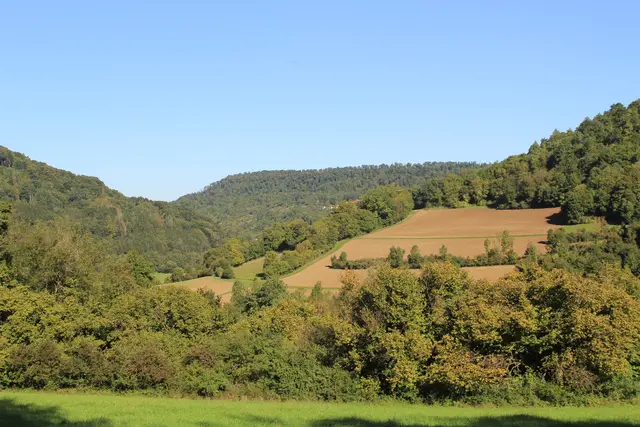 Rundwanderung- Grimmbachtal | Foto: Ralf Röser
