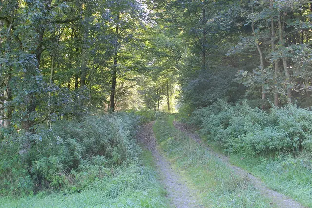 Rundwanderung- Grimmbachtal | Foto: Ralf Röser
