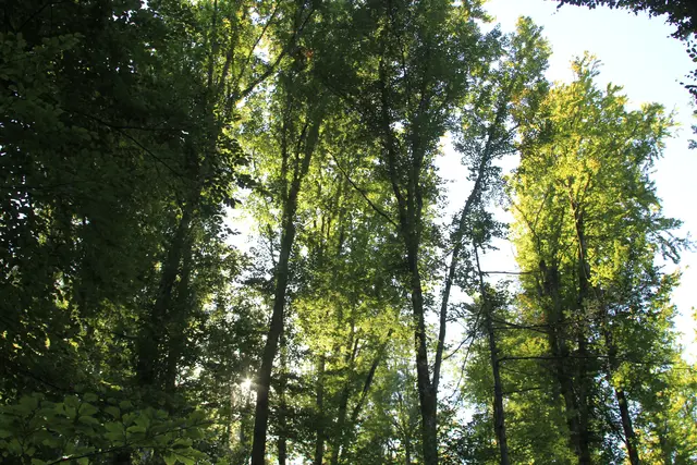 Rundwanderung- Grimmbachtal | Foto: Ralf Röser