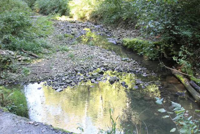 Rundwanderung- Grimmbachtal | Foto: Ralf Röser