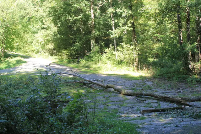 Rundwanderung- Grimmbachtal | Foto: Ralf Röser