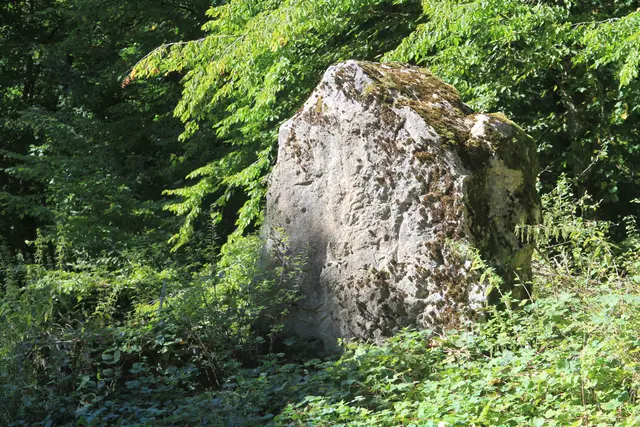 Rundwanderung- Grimmbachtal | Foto: Ralf Röser