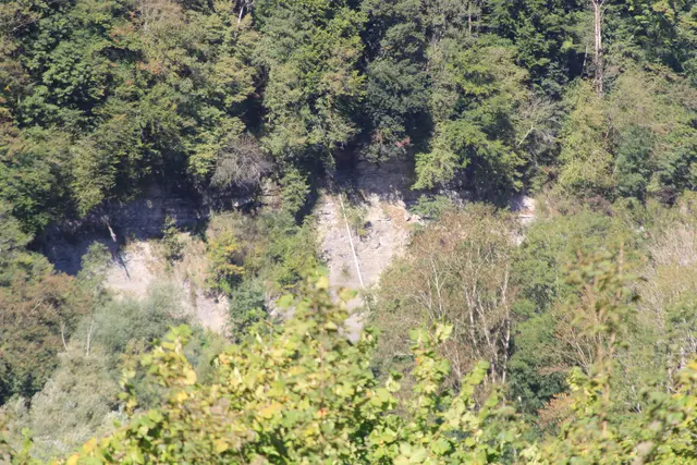 Rundwanderung- Grimmbachtal | Foto: Ralf Röser