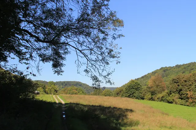 Rundwanderung- Grimmbachtal | Foto: Ralf Röser