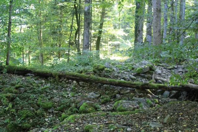 Rundwanderung- Grimmbachtal | Foto: Ralf Röser