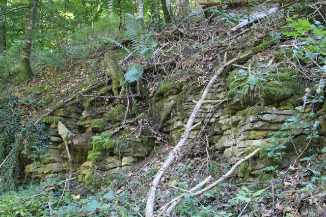 Rundwanderung- Grimmbachtal | Foto: Ralf Röser